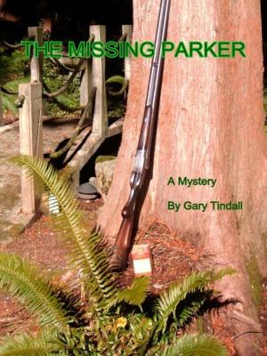 bigCover of the book The Missing Parker by 