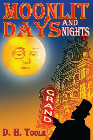 Cover of the book Moonlit Days and Nights by B Jane Lloyd