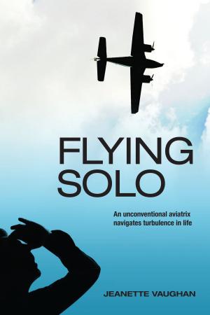 Cover of the book Flying Solo by Robin Elno