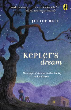 Book cover of Kepler's Dream