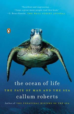Cover of the book The Ocean of Life by Catherine Anderson