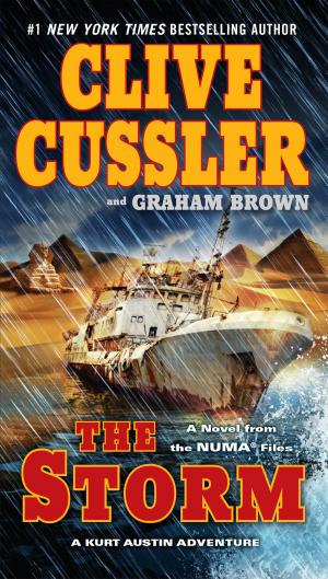 Cover of the book The Storm by Craig Nelson
