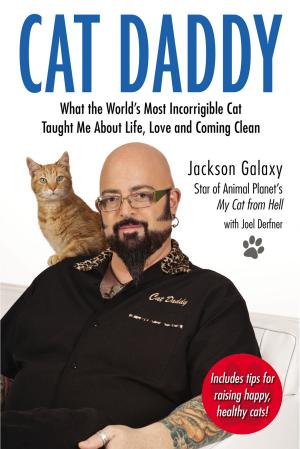 bigCover of the book Cat Daddy by 