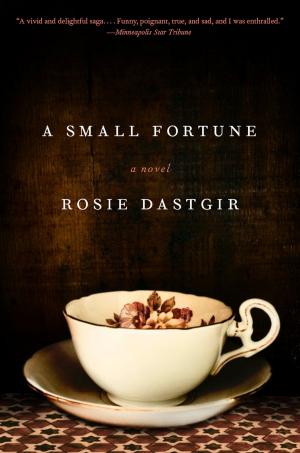 Cover of the book A Small Fortune by Jon Sharpe