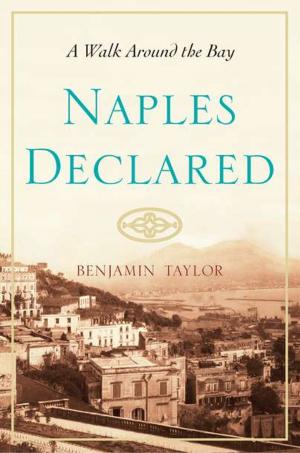 Cover of the book Naples Declared by Jayde Ver Elst