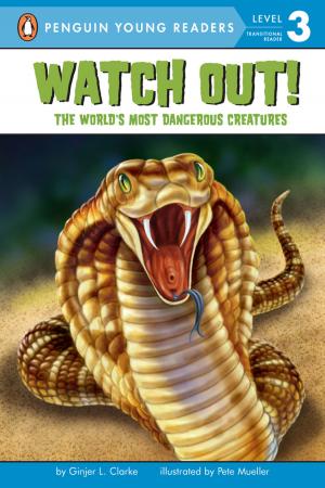 Cover of the book Watch Out! by Nancy Werlin