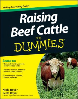 Cover of the book Raising Beef Cattle For Dummies by 