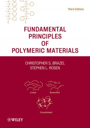 Cover of the book Fundamental Principles of Polymeric Materials by 
