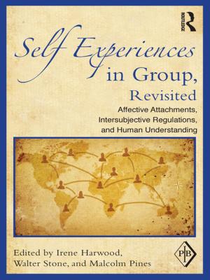 Cover of the book Self Experiences in Group, Revisited by Iain Borden, Katerina Ruedi Ray