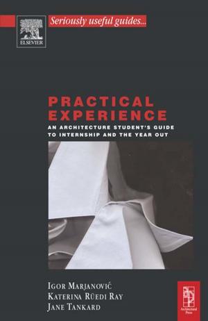 Cover of the book Practical Experience by Elise Martucci