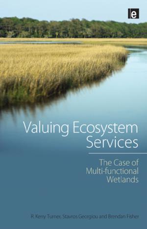Cover of the book Valuing Ecosystem Services by Sepehr Zabir