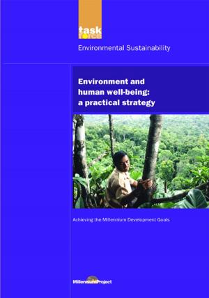 Cover of the book UN Millennium Development Library: Environment and Human Well-being by Brent Potter