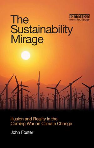 Cover of the book The Sustainability Mirage by Loren Kruger