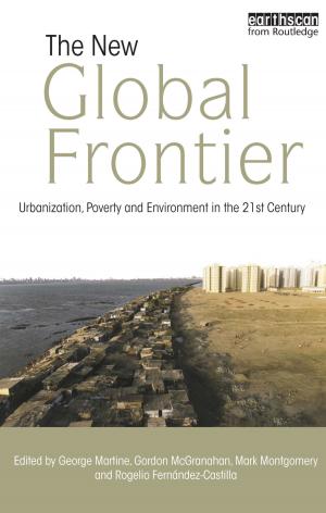 bigCover of the book The New Global Frontier by 