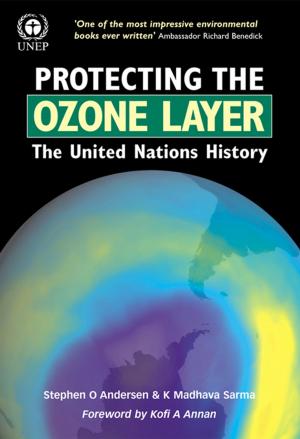 Book cover of Protecting the Ozone Layer