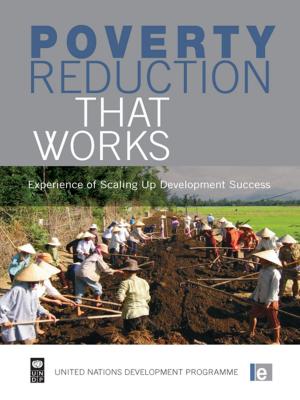 Cover of the book Poverty Reduction that Works by Jeromy Hopgood