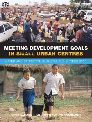 Book cover of Meeting Development Goals in Small Urban Centres
