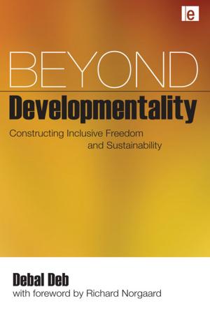 Cover of the book Beyond Developmentality by Martin Dixon
