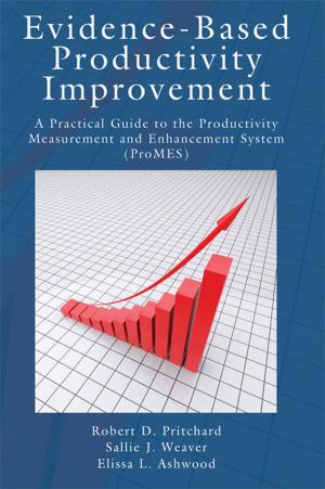 Book cover of Evidence-Based Productivity Improvement