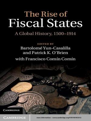 Cover of the book The Rise of Fiscal States by Andrew R. Lewis