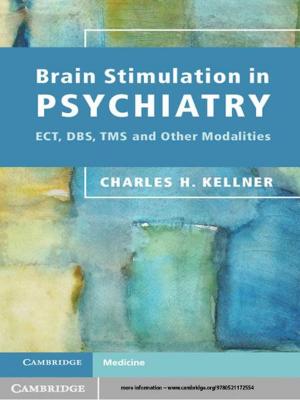 bigCover of the book Brain Stimulation in Psychiatry by 
