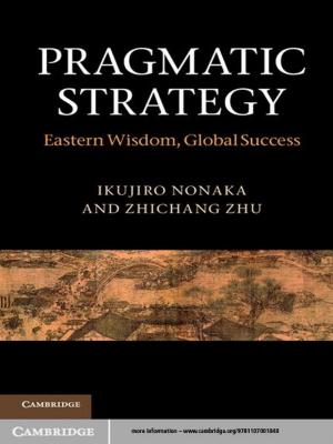 Cover of the book Pragmatic Strategy by Igor N. Serdyuk, Nathan R. Zaccai, Joseph Zaccai