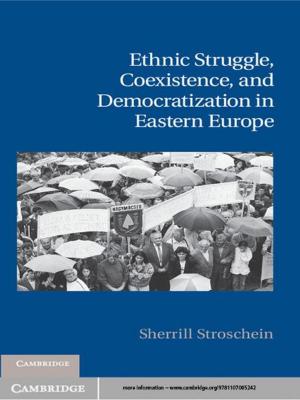Cover of the book Ethnic Struggle, Coexistence, and Democratization in Eastern Europe by Emily S. K. Anderson