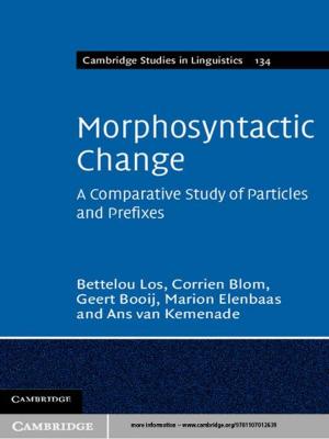 Cover of the book Morphosyntactic Change by Andrés Rigo Sureda