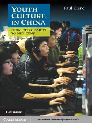 Cover of the book Youth Culture in China by Friedl Weiss, Clemens Kaupa