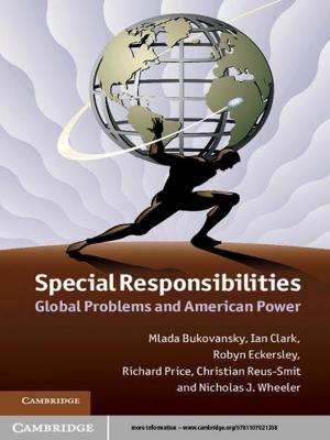 Book cover of Special Responsibilities