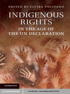 Cover of the book Indigenous Rights in the Age of the UN Declaration by J. van de Kreeke, R. L. Brouwer