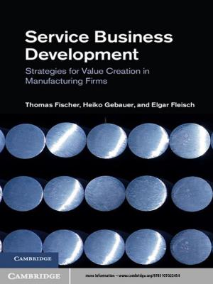 Cover of the book Service Business Development by Willem Schinkel