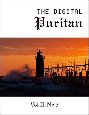 Book cover of The Digital Puritan - Vol.II, No.3
