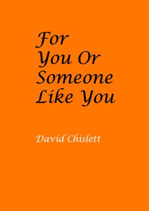 Cover of the book For You Or Someone Like You by Levi Jones