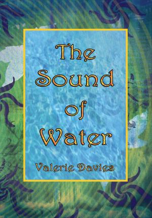 Cover of the book The Sound of Water by Evelyn Barcelona