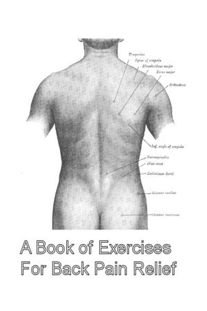 Cover of the book A Book of Exercises For Back Pain Relief by Ocean Palmer