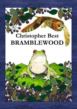 Book cover of Bramblewood