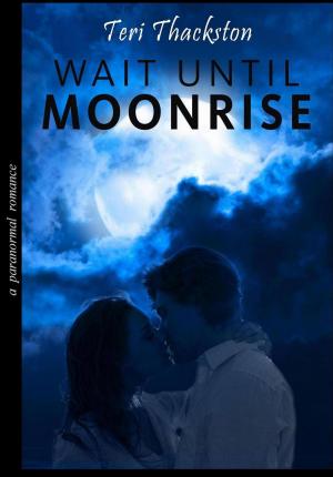 Cover of the book Wait Until Moonrise by D.L. Miles