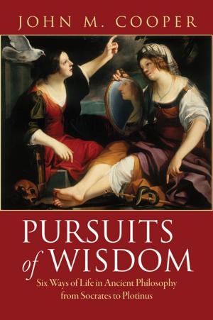 Cover of the book Pursuits of Wisdom by Odo Diekmann, Hans Heesterbeek, Tom Britton