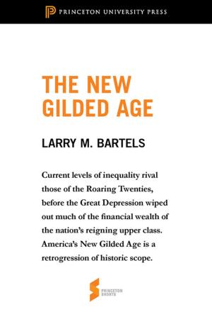 Cover of the book The New Gilded Age by 