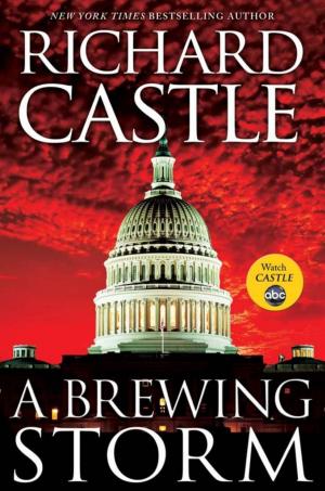 Cover of the book A Brewing Storm by Marvel Press