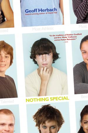 Cover of the book Nothing Special by Laura Nowlin