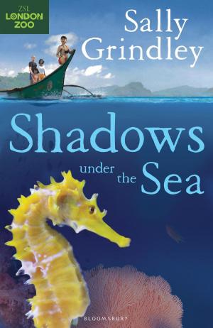 Cover of the book Shadows under the Sea by Maggie Makepeace