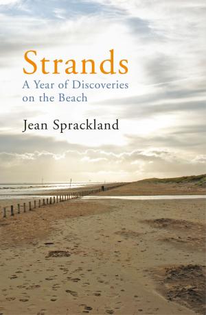 Cover of the book Strands by Jane Lindskold