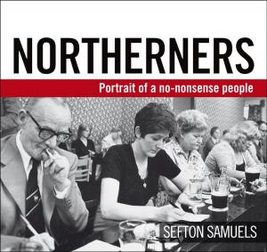 Cover of the book Northerners by Stephen Moss