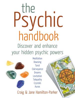 Book cover of The Psychic Handbook