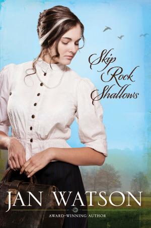 Cover of the book Skip Rock Shallows by Jerry B. Jenkins, Tim LaHaye