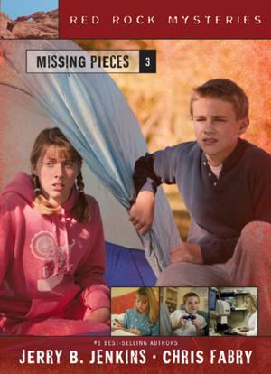 Book cover of Missing Pieces