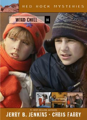 Cover of the book Wind Chill by Rick Tramonto
