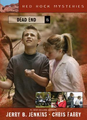 Cover of the book Dead End by David Solá